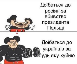 file 268.jpg