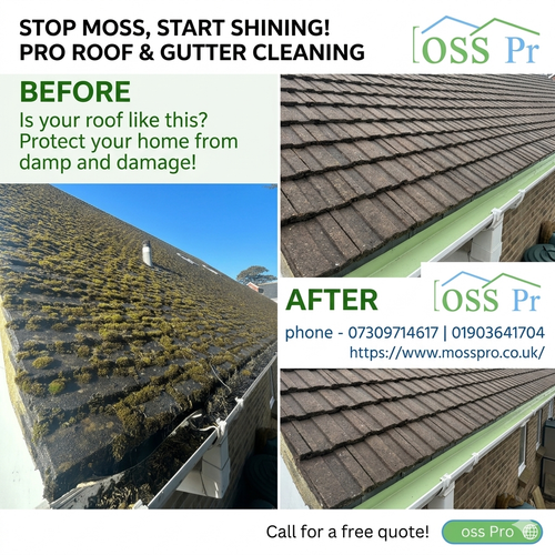Transform Your Roof with Moss Pro Pro Roof & Gutter Cleaning Services.png