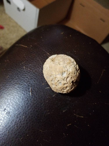 bf205124813b.jpg