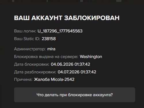 изображение 2026 06 04 093706766.png