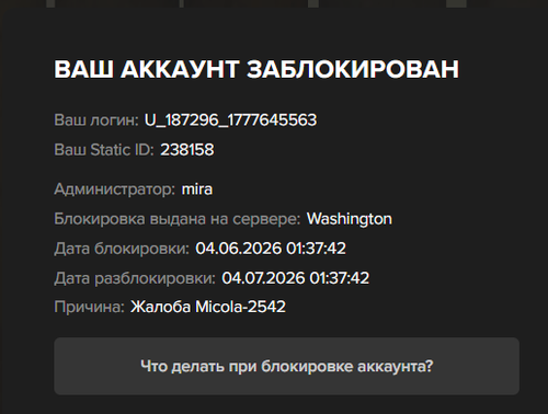 123123.png