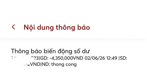 706381be5e03.jpg