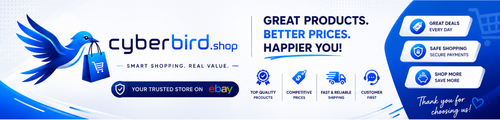 ebay 3.png