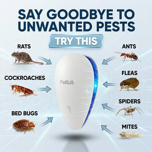 3b13c58b2065.jpg