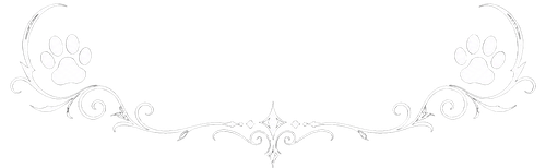 dykkjdyg8srmr0cyj5taqedh18 preview 0 ezremove.png