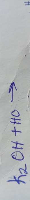 temp.png