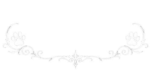 dykkjdyg8srmr0cyj5taqedh18 preview 0 ezremove.png