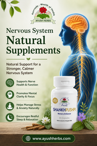 Nervous System Natural Supplements for Mental Clarity, Focus & Wellness.png