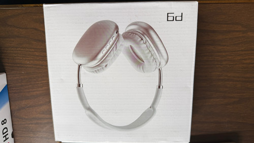 HEADPHONES P9 001 rotated.jpg