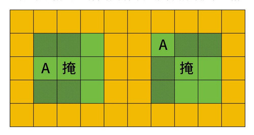 d08ea6a5805a.jpg