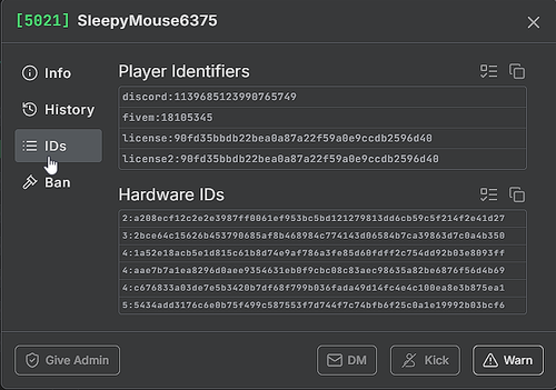 FiveM GTAProcess xlfusdrst2.png