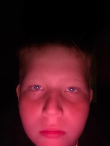 temp.png