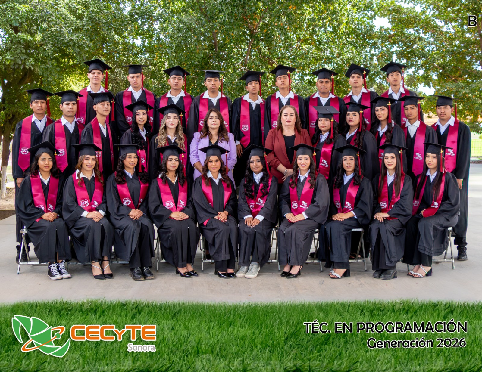 6B Programación