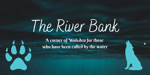 The River Bank(1).png