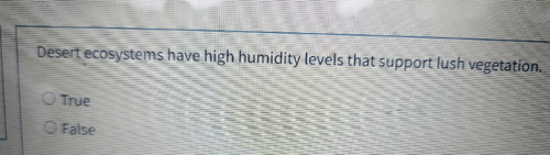 temp.png