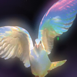 a727fc5595e7.png