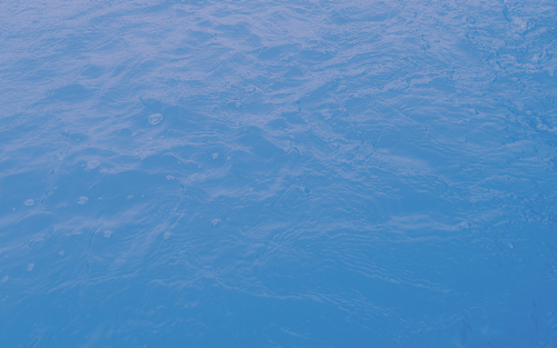 temp.png