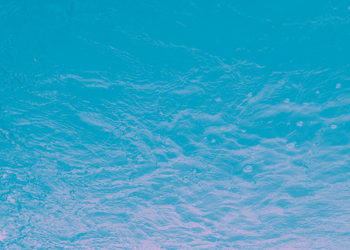 temp.png