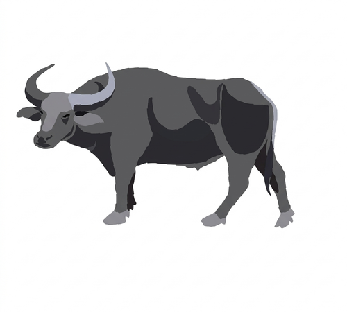 CARABAO.png
