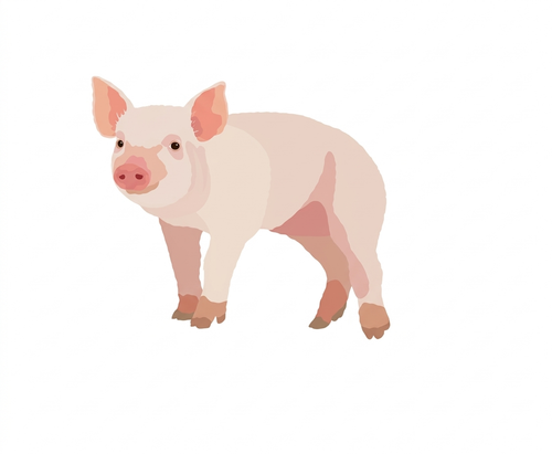 SWINE.png