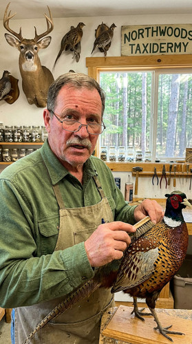 028 w jeb taxidermy up.jpg