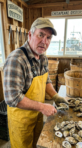 035 w rufus oyster up.jpg