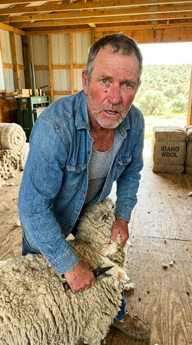 020 w lyle shear up.jpg
