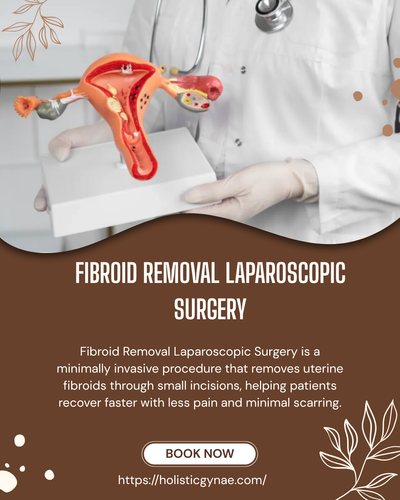 Fibroid Removal Laparoscopic Surgery (4).png