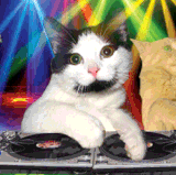 image.gif