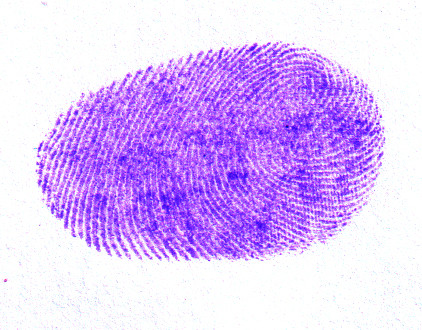thumb.jpg
