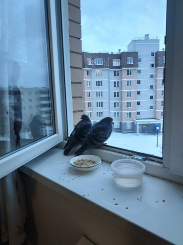 IMG 20211122 090948.jpg