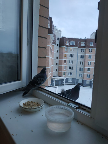 IMG 20211122 090957.jpg
