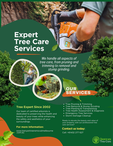 Professional Tree Stump Removal Melbourne for a Cleaner Yard.jpg