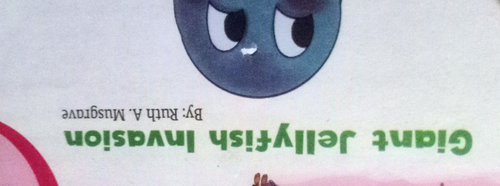temp.png