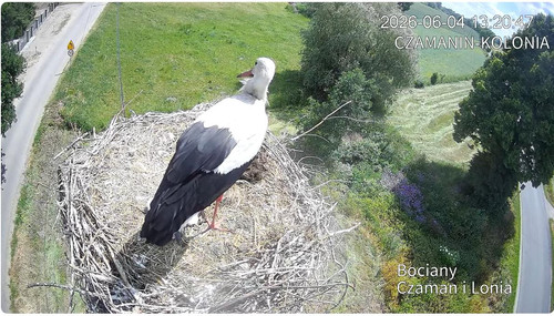 MWSnap218.jpg