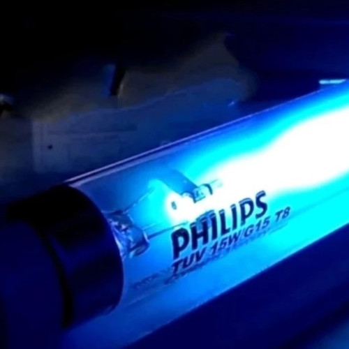 bong den tia cuc tim diet khuan khu trung tuv philips uvc 45cm tuv 15w g15 t8 (4).jpg