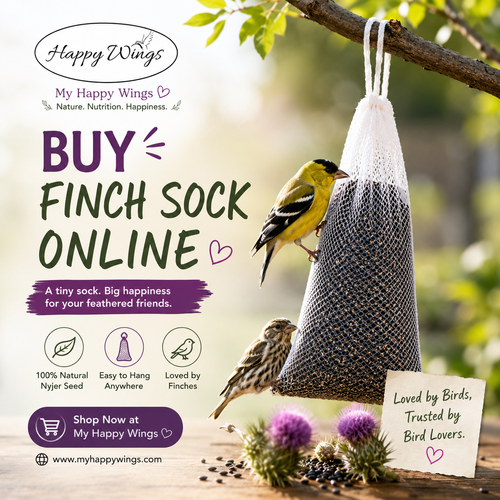 Buy Finch Sock Online – A Simple Way to Attract More Finches.png