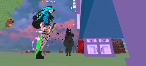 imagen.png