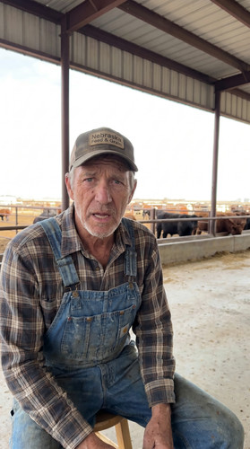 kie states jun3 c 00 ne cattle feedlot wmL 2 up.jpg