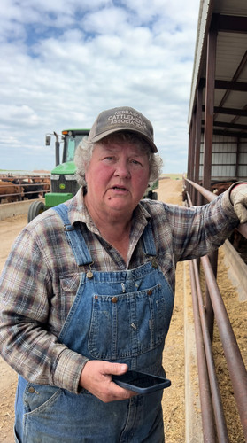00 ne cattle feedlot wwH 3 up.jpg