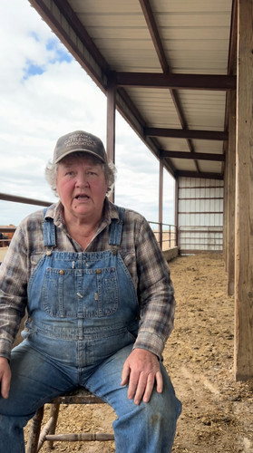 kie states jun3 c 00 ne cattle feedlot wwH 3 up.jpg