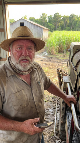 13 la sugarcane wmH 2 up.jpg
