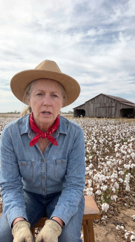 kie states jun3 c 25 tx cotton wwA 3 up.jpg