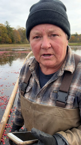 05 ma cranberry bog wwH 1 up.jpg