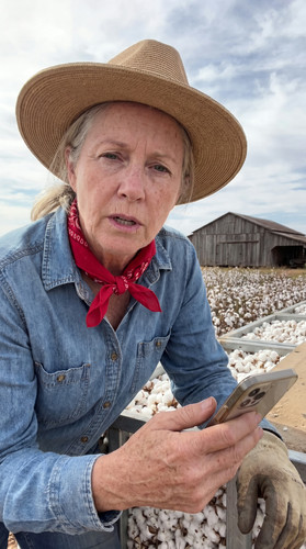 25 tx cotton wwA 3 up.jpg