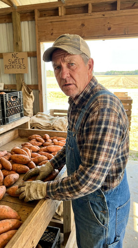 167 w sweet potato up.jpg