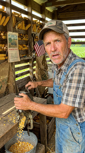 136 w homer corn up.jpg