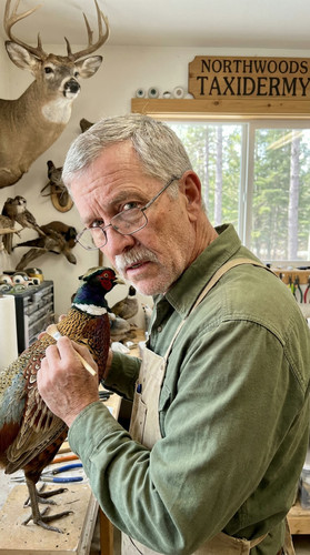208 w jeb taxidermy up.jpg