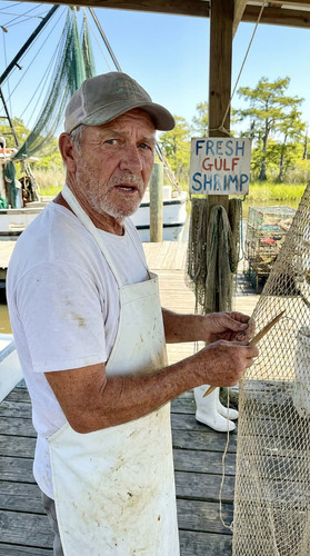 214 w odell shrimp up.jpg