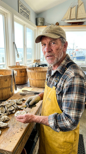 215 w rufus oyster up.jpg